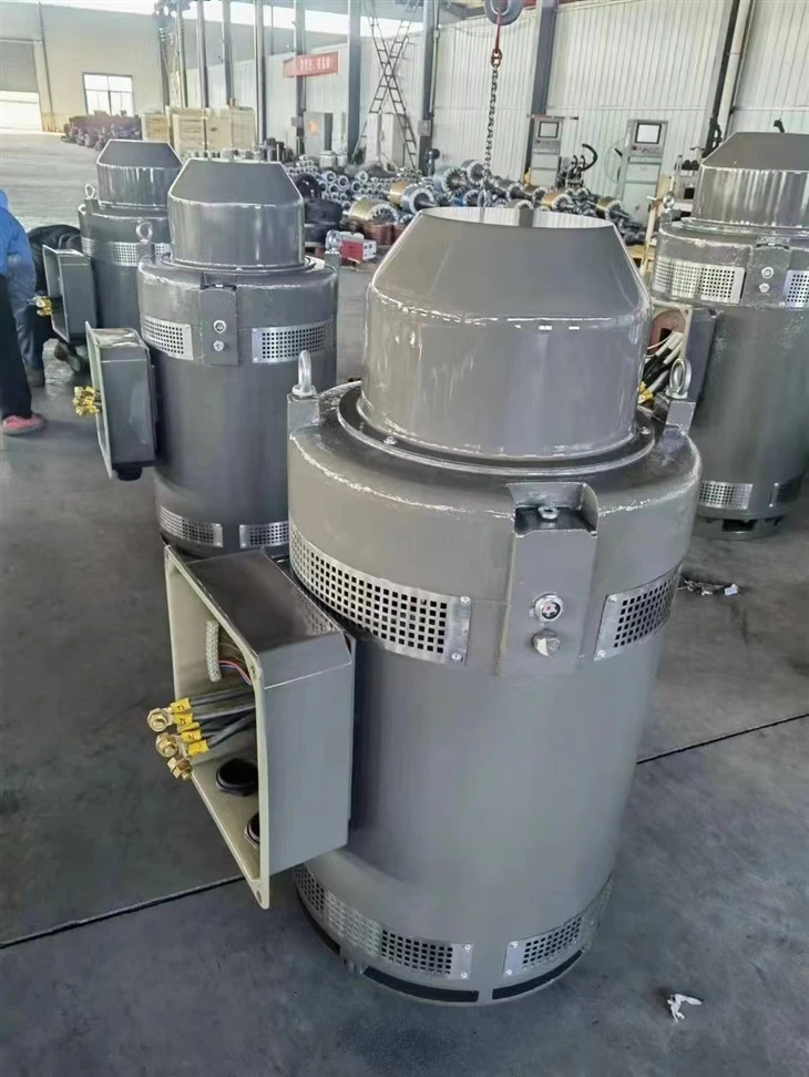 VHS Series Vertical Hollow Shaft Electric Motors high quality