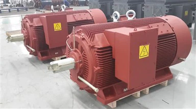 Cast Iron AC Motors